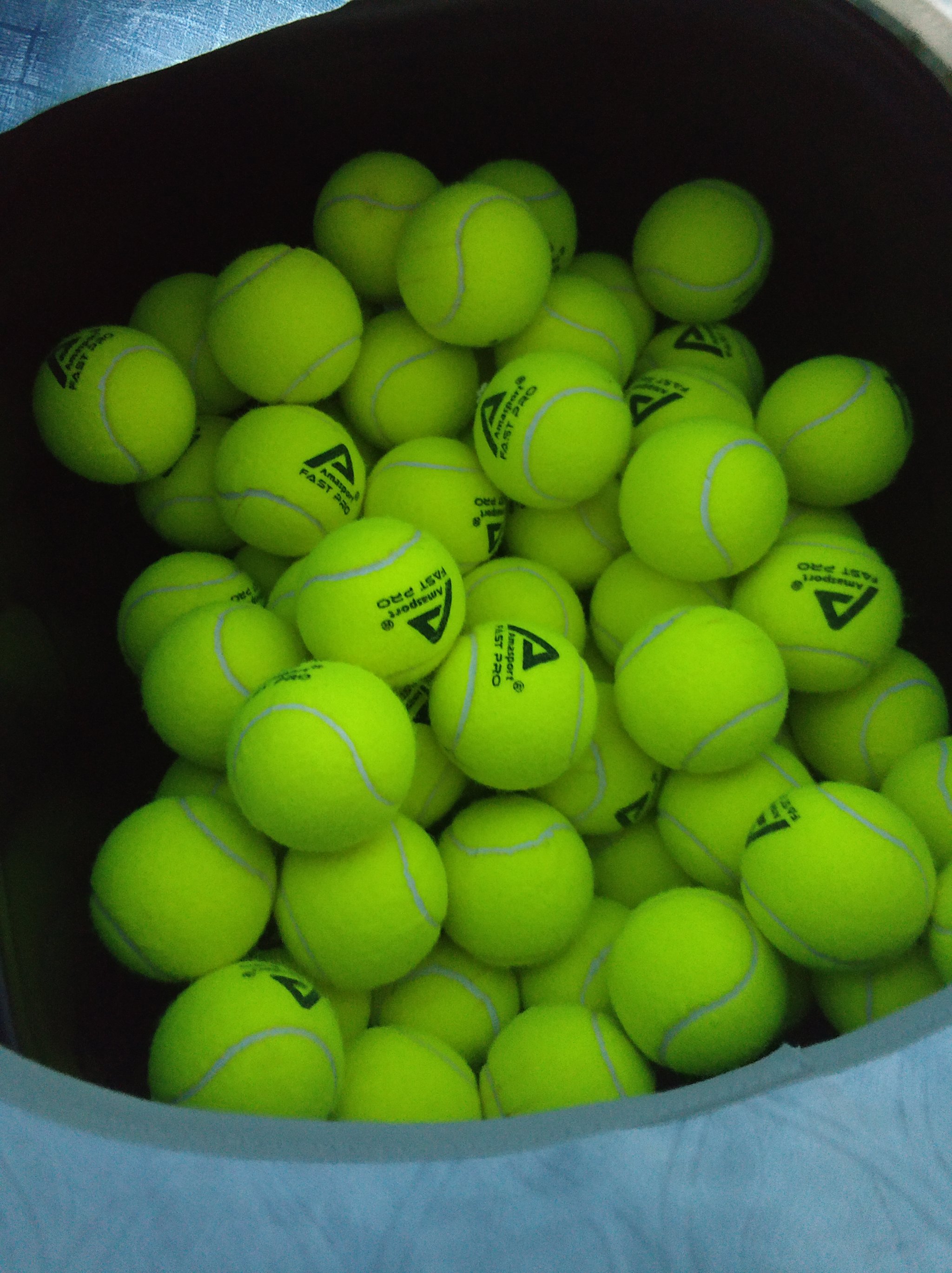 夏窗仍可能 夏窗仍可能